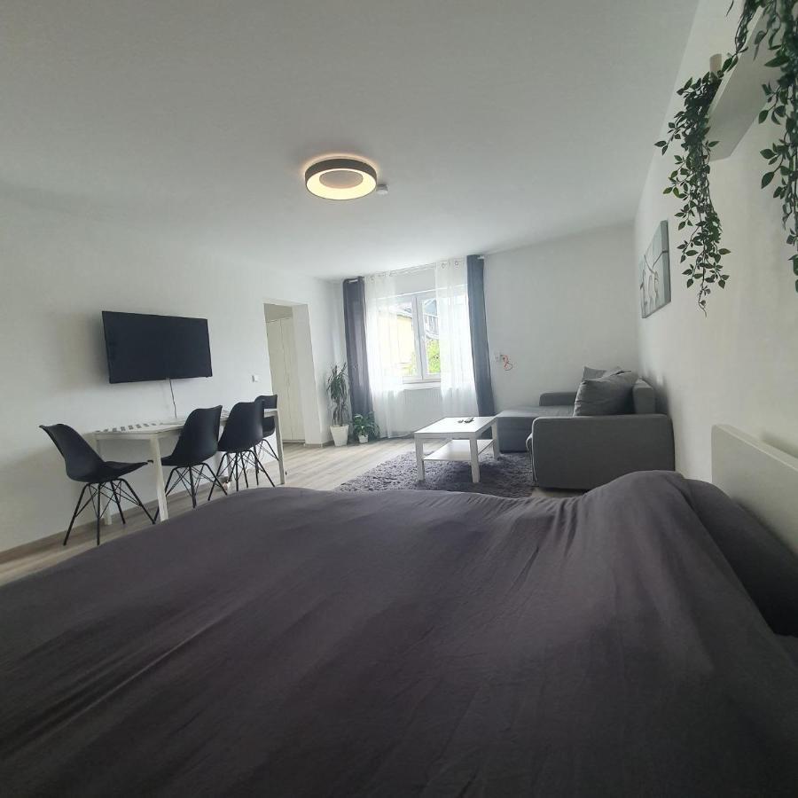 Bonn/Koenigswinter Ferienwohnung Экстерьер фото